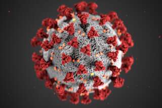 Covid-19: le traitement Ronapreve autorisé en préventif pour les immunodéprimés