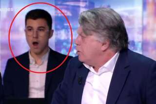 Le clash entre Collard et Cohn-Bendit sur TF1 a (vraiment) choqué ce spectateur