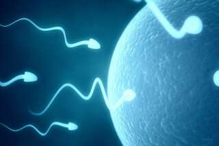 Télévision: la qualité du sperme en question