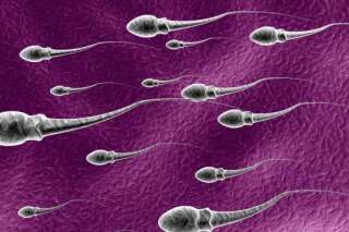 6 faits surprenants sur le sperme