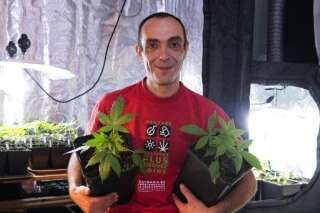 Cannabis social club: La fédération déclarée à la préfecture d'Indre-et-Loire