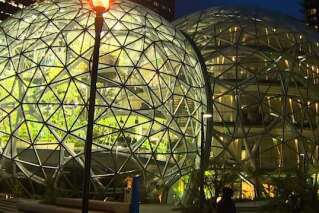 Ces trois immenses sphères construites par Amazon contiennent des bureaux au milieu d'une forêt
