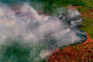 Incendies en Amazonie: Le Brésil va 
