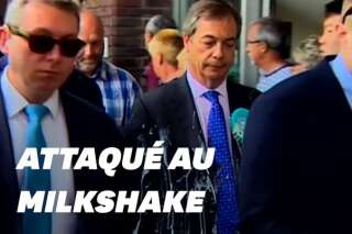 Européennes: Nigel Farage attaqué au milkshake à Newcastle