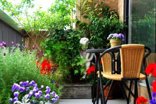 3 conseils pour pratiquer la permaculture sur son balcon