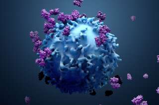 Une cellule pouvant s'attaquer à tous les cancers a été découverte