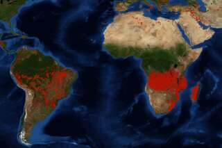Incendies de l'Amazonie: Pourquoi les feux de forêt en Afrique subsaharienne n'ont rien à voir