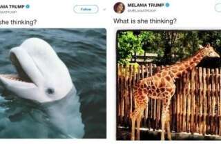 Le béluga de Melania Trump s'est mystérieusement transformé en girafe