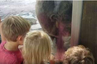 Mais pourquoi cet ours a-t-il décidé de faire caca pile sous le nez de ces enfants