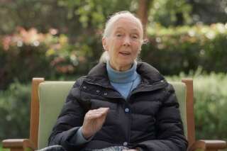 Journée de la Terre 2018: Le message de Jane Goodall