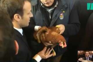 Macron a adopté une poule au Salon de l'Agriculture et BFMTV l'a invitée en plateau (la poule)