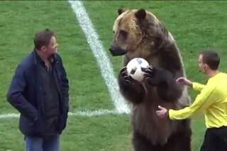 Cet ours a été forcé de jouer les mascottes pour un match de foot en Russie, ce qui a choqué les défenseurs des animaux