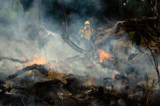 Après les incendies en Amazonie, 63 interpellations et 8,7 millions d'amendes