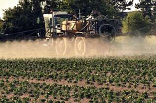 Réduction des pesticides: le gouvernement ne tient pas ses objectifs pour la Cour des comptes