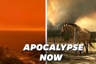 En Australie ravagée par les feux, le ciel est devenu orange