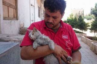 L'électricien qui sauve les chats de Syrie sous les bombes