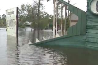 350 alligators menacent de s'échapper dans les rues de Houston à cause des inondations