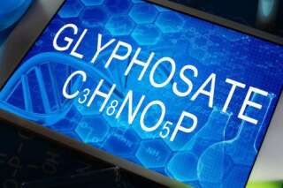 L'évaluation du glyphosate par l'EFSA a été menée conformément à la procédure prévue dans la législation