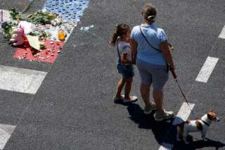 Mobilisation pour sauver les animaux des victimes de l'attentat de Nice