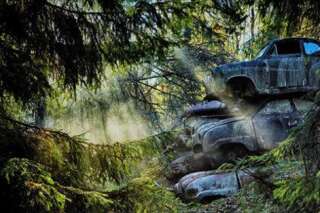 PHOTOS. Des photos magiques de voitures abandonnées
