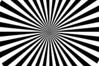 PHOTO. Une illusion d'optique imaginée par des chercheurs français pour observer l'activité cérébrale