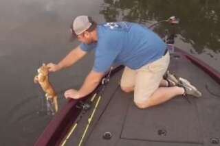 VIDÉO. Ces pêcheurs récupèrent deux chatons qui nageaient vers leur bateau