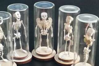 VIDÉO. Un projet Kickstarter insolite pour de minuscules squelettes mythologiques à assembler