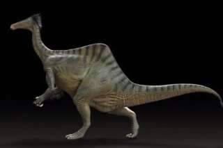VIDÉO. Dinosaures: l'énigmatique Deinocheirus était en fait un monstre gentil (mais à l'allure très étrange)