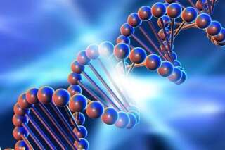 Code génétique: des scientifiques en découvrent un second dans l'ADN