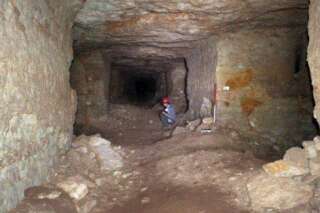 8 millions de chiens momifiés découverts dans des catacombes égyptiennes