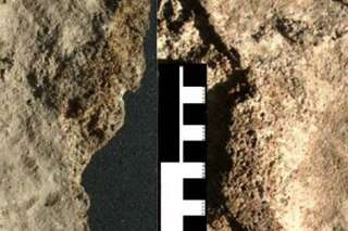PHOTOS. Archéologie: La plus vieille empreinte de pied d'Amérique du Nord a près de 10.500 ans