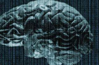 Étude sur le cerveau: des scientifiques découvrent une activité cérébrale anti-distraction
