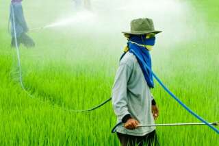 Vivre sans pesticides, des solutions existent