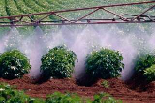 Une pétition pour en finir avec l'exposition des populations aux pesticides
