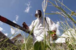 Deux insecticides épinglés pour neurotoxicité humaine par une agence de l'UE