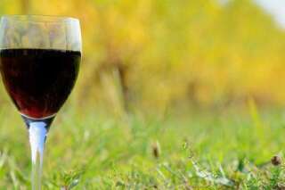 Les vins de Bordeaux prêts à sortir des pesticides