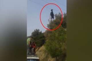 VIDÉO. En Grèce, l'improbable sauvetage d'une chèvre coincée dans des câbles électriques
