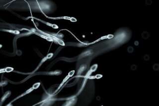 Traitement de l'infertilité: des spermatozoïdes in vitro ont été produits par la société lyonnaise Kallistem