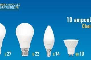 Les ampoules LED coûtent trop cher? Ce site veut vous en vendre à prix cassé