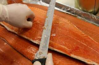 Le saumon, premier animal OGM autorisé aux Etats-Unis