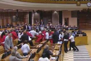 VIDÉO. Une violente bagarre éclate au Parlement d'Afrique du Sud