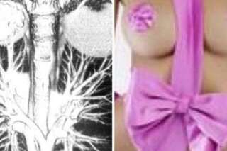 Zahia Dehar et la chirurgie esthétique: elle publie un scanner pour prouver que ses seins sont naturels