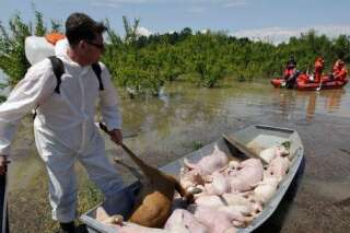 Inondations: les Balkans attendent de nouvelles crues et craignent des épidémies
