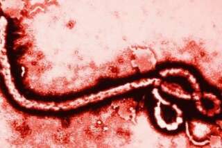 La psychose Ebola : malgré les messages rassurants et les faibles risques, la peur s'installe