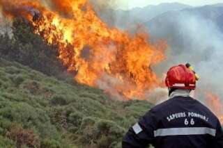 Incendie dans les Pyrénées-Orientales : 100 pompiers et 7 avions mobilisés contre un feu de forêt