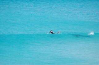 PHOTOS. Attaque de requin: ce surfer en Australie l'a échappé belle