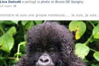 Une photo comparant Taubira à un gorille partagée sur Facebook par une élue UMP