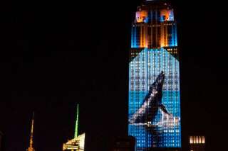 PHOTOS. L'Empire State Building s'illumine pour les animaux en danger