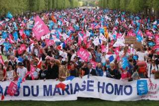 Des associations anti-mariage pour tous envisagent de saisir l'ONU si le Conseil d'État n'annule pas la loi
