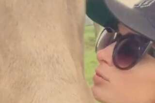 VIDÉOS. Paris Hilton prend la pose avec des vaches suisses